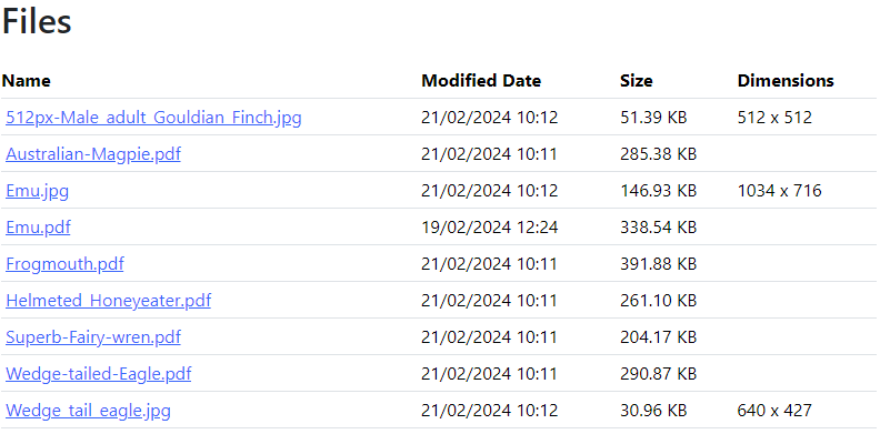 Files List Module Screenshot